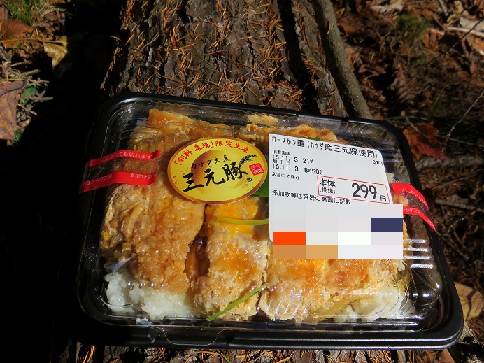 赤指尾根の途中で昼飯