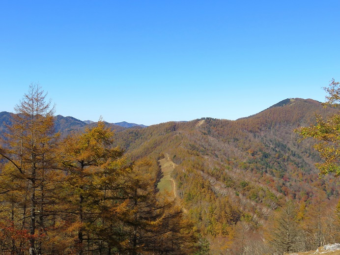 七ツ石山の山頂から見る雲取山の景色