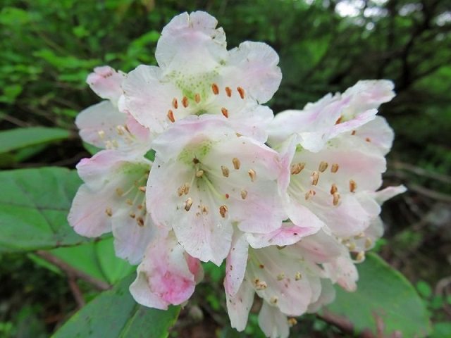 f:id:aohige0718:20161119171037j:plain f:id:aohige0718:20161119171037j:plain