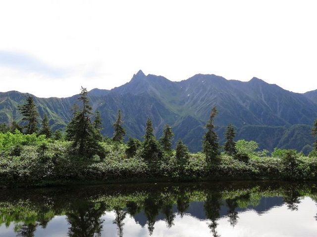 f:id:aohige0718:20161119171103j:plain f:id:aohige0718:20161119171103j:plain