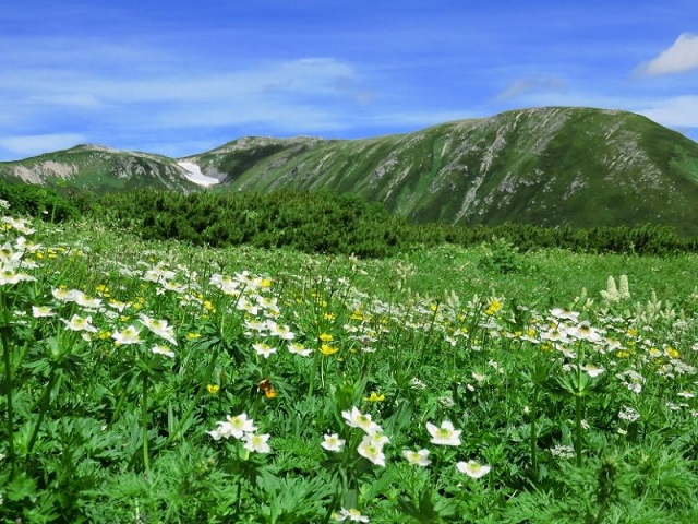 f:id:aohige0718:20161119171349j:plain f:id:aohige0718:20161119171349j:plain