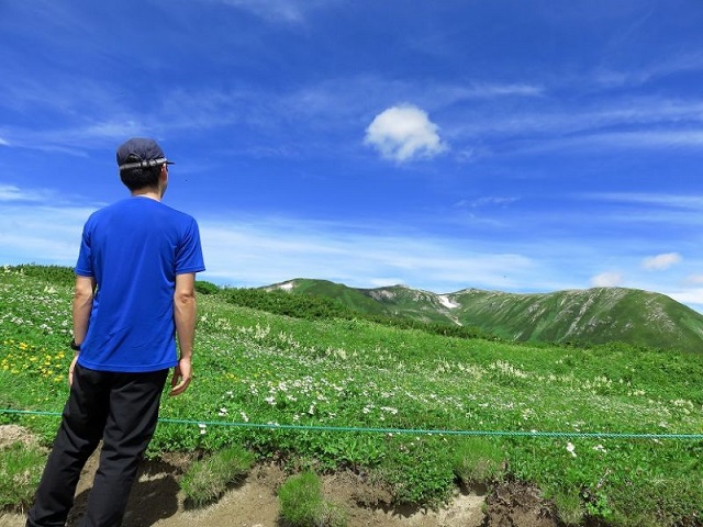 f:id:aohige0718:20161119171358j:plain f:id:aohige0718:20161119171358j:plain