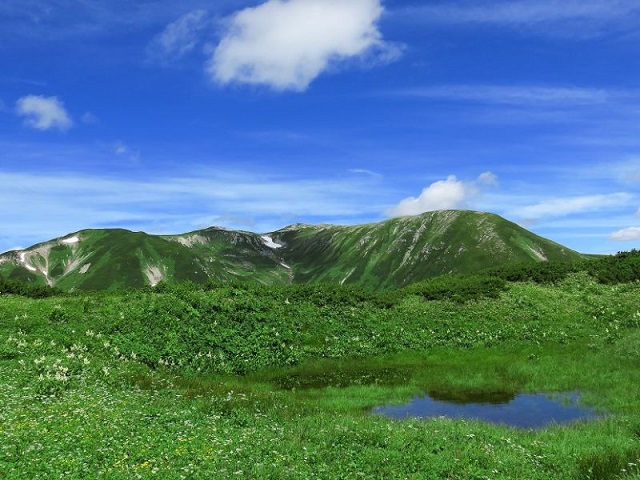 f:id:aohige0718:20161119171409j:plain f:id:aohige0718:20161119171409j:plain