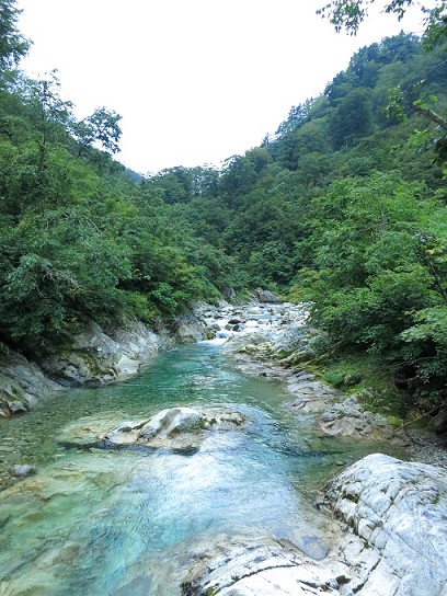 綺麗な水