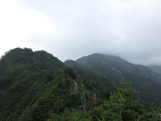 大嵓尾根キツイ登山道