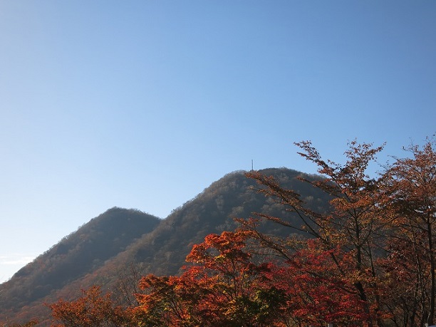 f:id:aohige0718:20161201214459j:plain 高根展望台榛名山塊周辺の紅葉