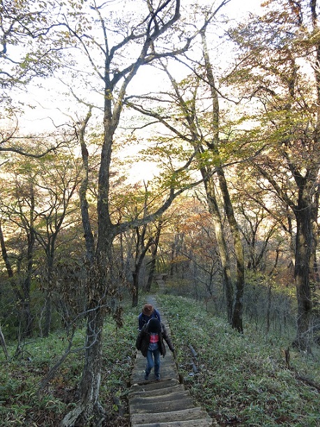 f:id:aohige0718:20161201214945j:plain 天目山登山者