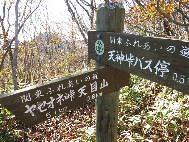 f:id:aohige0718:20161201215024j:plain 榛名山氷室山の頂上