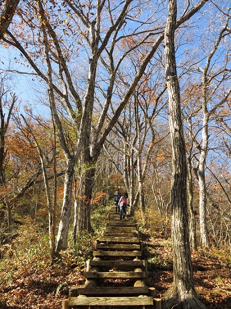 f:id:aohige0718:20161201215220j:plain 榛名山登山中の登山者