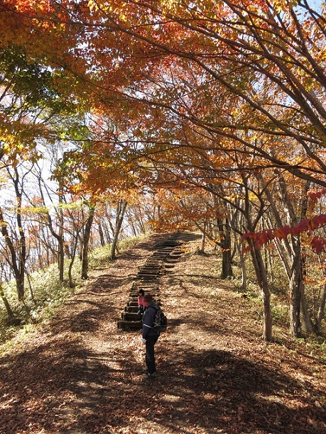 f:id:aohige0718:20161201220232j:plain 榛名富士を目指し天目山から下山