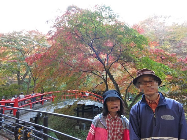 f:id:aohige0718:20161201220633j:plain 伊香保温泉河鹿橋