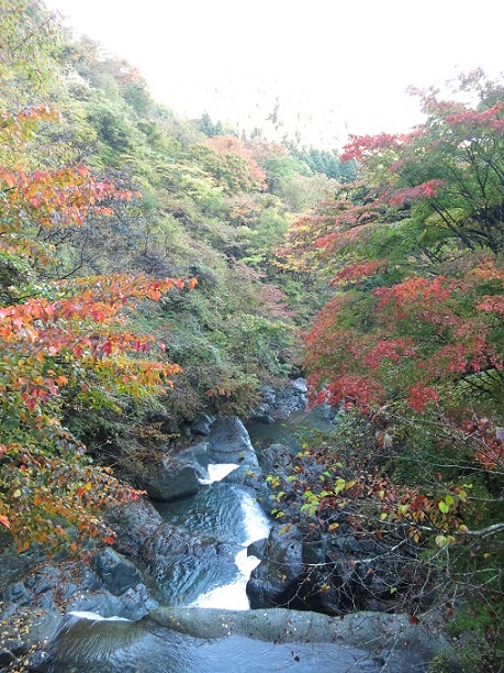 f:id:aohige0718:20161203210835j:plain 本間橋旧丹沢観光センター渓谷と紅葉