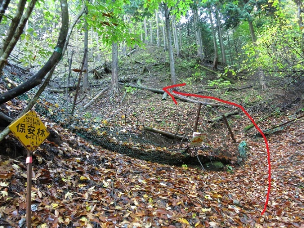 f:id:aohige0718:20161203210921j:plain 棒ノ木丸への取り付き地点バリエーションルート