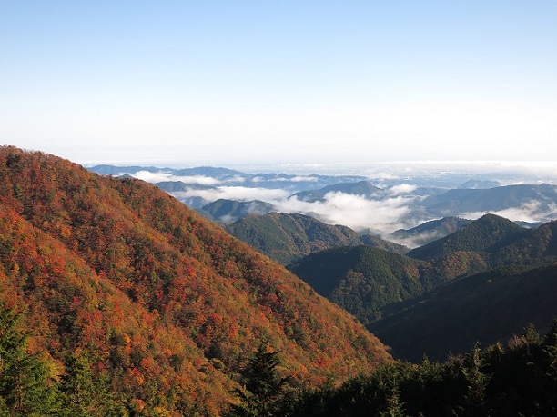 f:id:aohige0718:20161203211010j:plain 棒ノ木丸東尾根