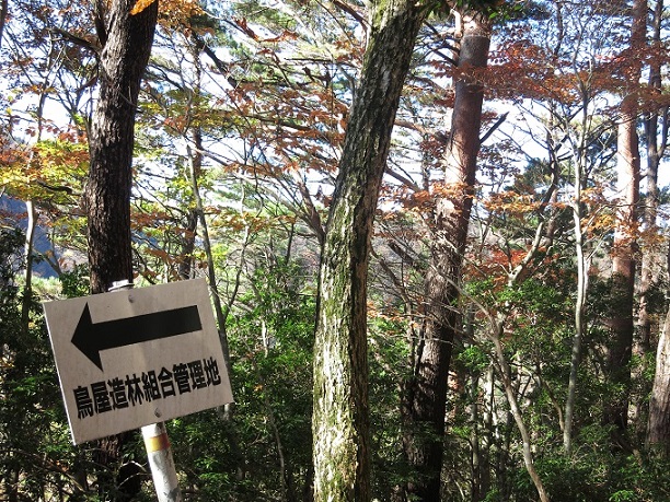 f:id:aohige0718:20161203211115j:plain 棒ノ木丸の登山道