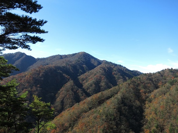 f:id:aohige0718:20161203211124j:plain 棒ノ木丸から蛭ヶ岳