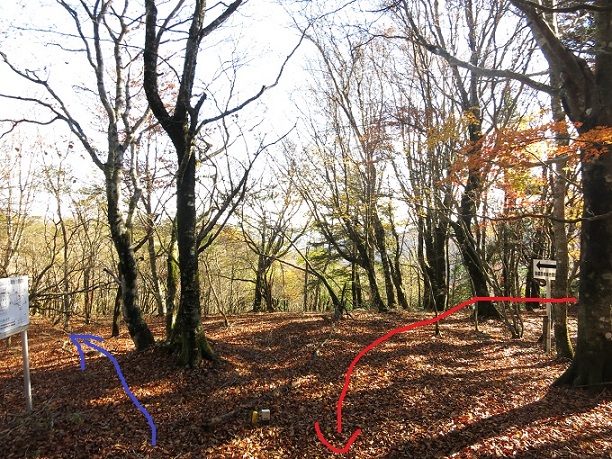 f:id:aohige0718:20161203211136j:plain 棒ノ木丸山頂付近は尾根が広く分かり難い