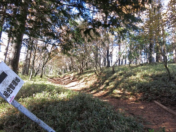 f:id:aohige0718:20161203211235j:plain 棒ノ木丸から丹沢主脈縦走路と合流