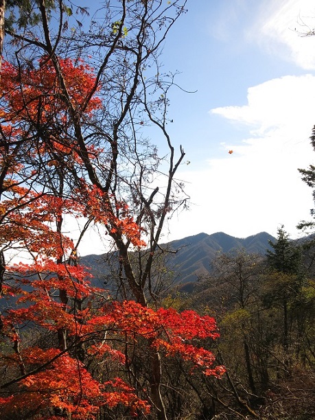 f:id:aohige0718:20161203211255j:plain 丹沢三峰