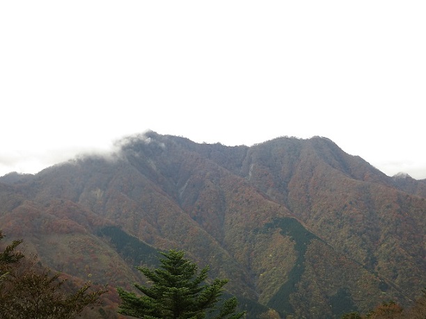 f:id:aohige0718:20161203211431j:plain 檜洞丸方面