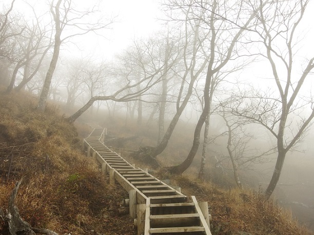 f:id:aohige0718:20161203211455j:plain 蛭ヶ岳の直下