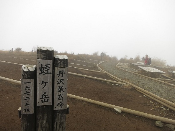 f:id:aohige0718:20161203211503j:plain 丹沢最高峰蛭ヶ岳