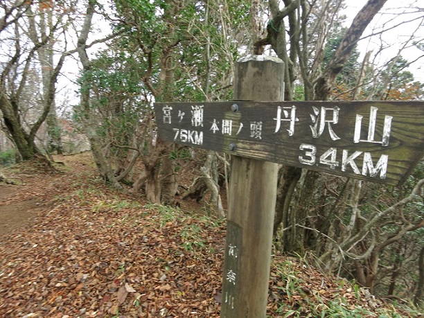 f:id:aohige0718:20161203211525j:plain 本間ノ頭