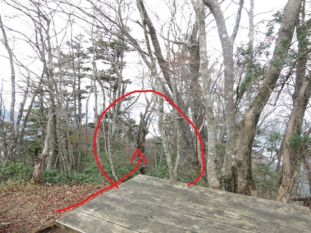 f:id:aohige0718:20161203211534j:plain 本間ノ頭本間橋本間ノ頭北尾根のルート