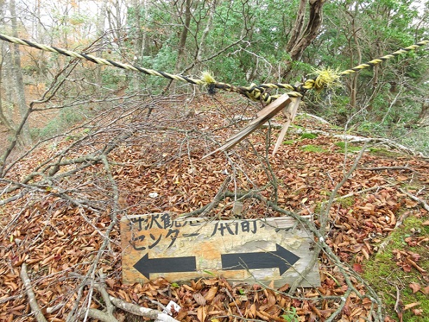 f:id:aohige0718:20161203211544j:plain 本間ノ頭北尾根から少し下る栂立尾根への入口