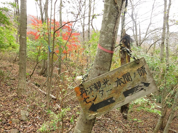 f:id:aohige0718:20161203211557j:plain 本間ノ頭北尾根を下っていくと看板