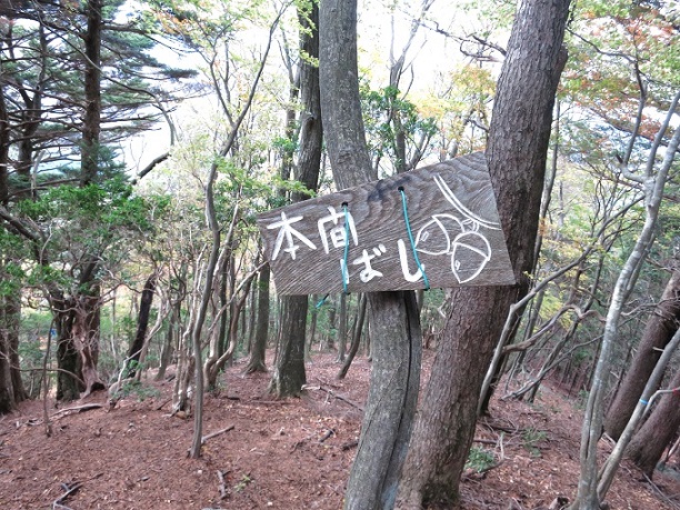 f:id:aohige0718:20161203211607j:plain 看板急斜面