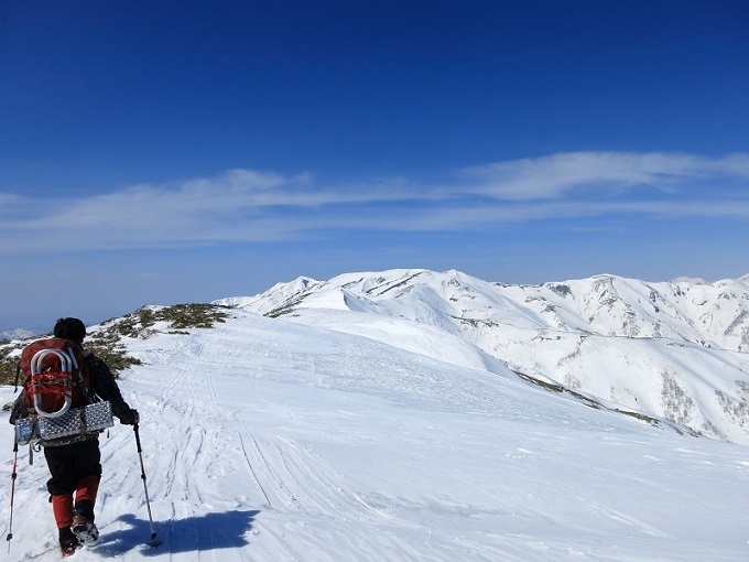 柄沢山から上越国境巻稜線歩き登山道様子
