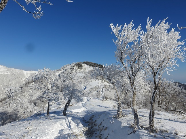 雪の丹沢