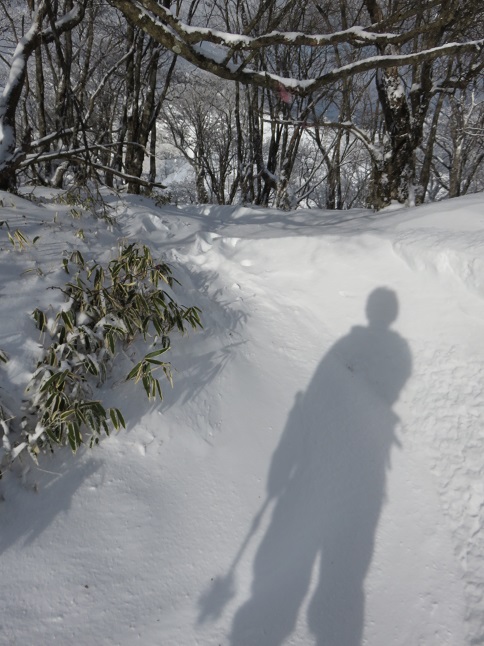 丹沢山からラッセル覚悟で蛭ヶ岳