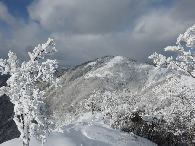 丹沢山雪深い