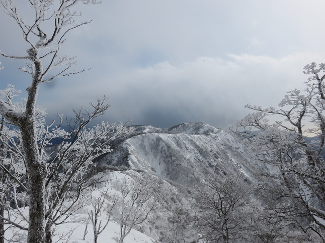 丹沢主脈縦走路の稜線天気が悪い