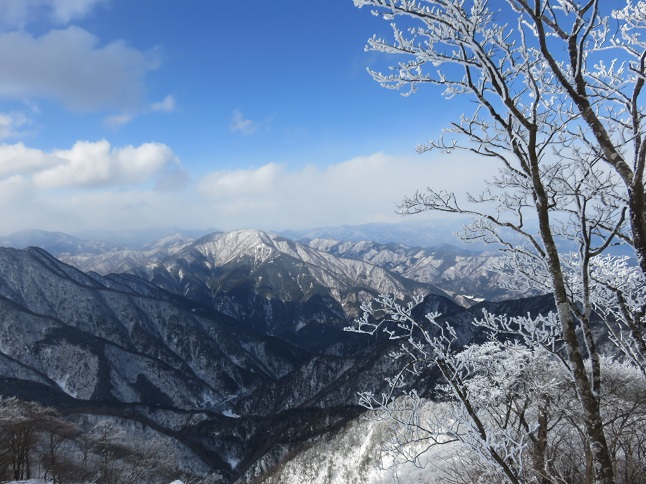 正面のお山が大室山