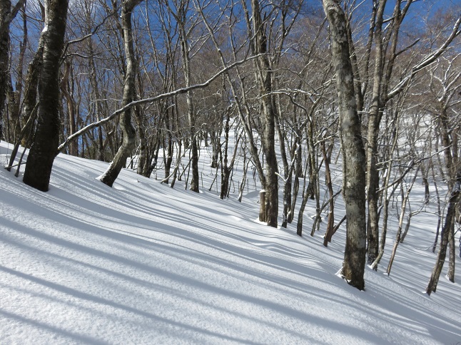 ゼブラ模様した雪の登山道