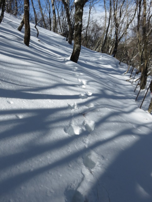 足跡を拾いなが雪の登山道歩き