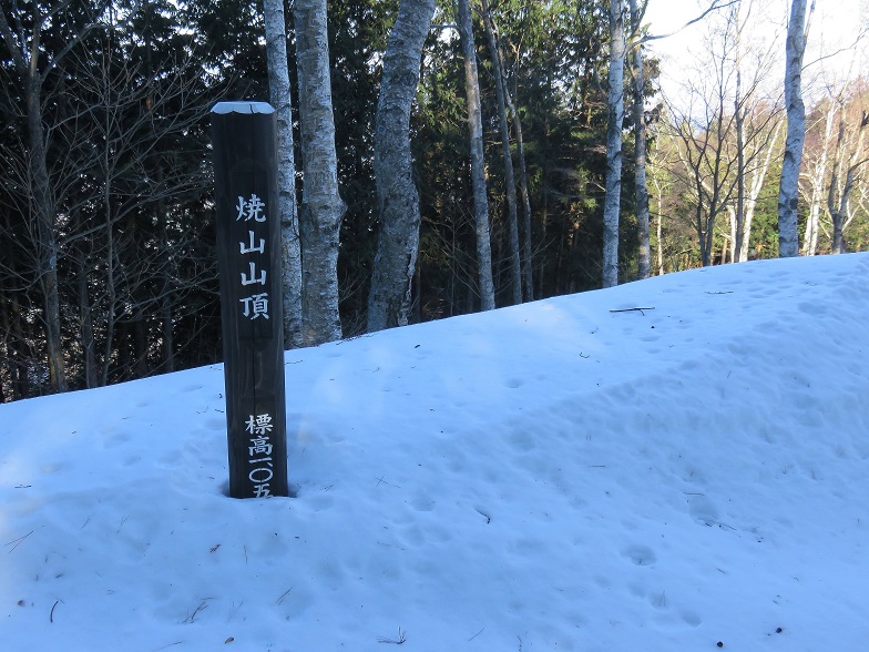 丹沢主脈縦走路の最後のピーク焼山