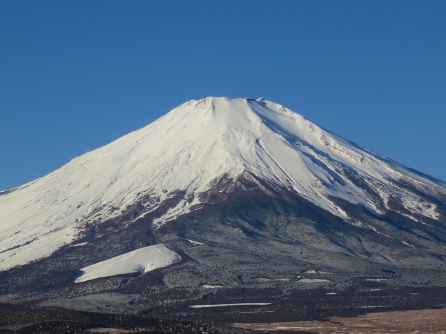 ！富士山！日本一