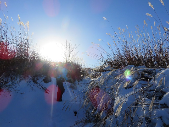 鉄砲木ノ頭の山頂目指して登り