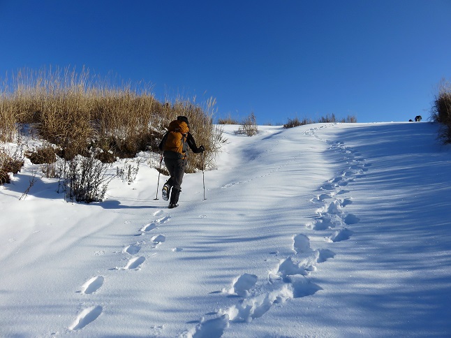 新雪を楽しむ女性