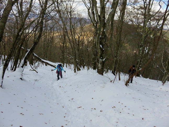 三国山地味にキツイ登り坂が続き