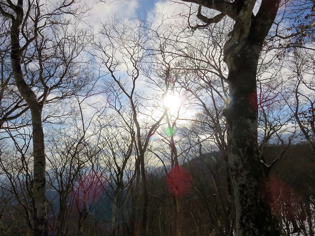 日没が本当に早い