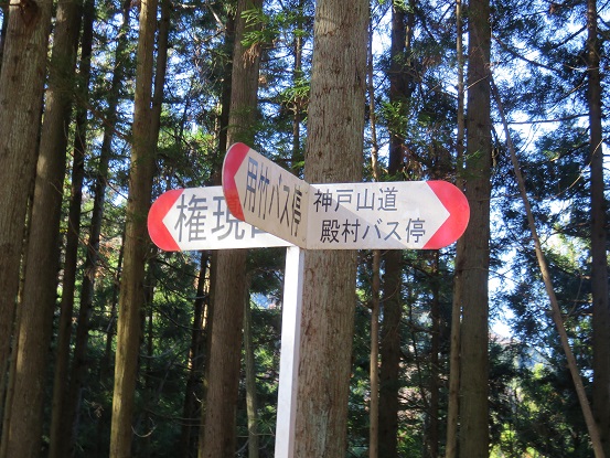 雨降山・権現山神戸山道分岐