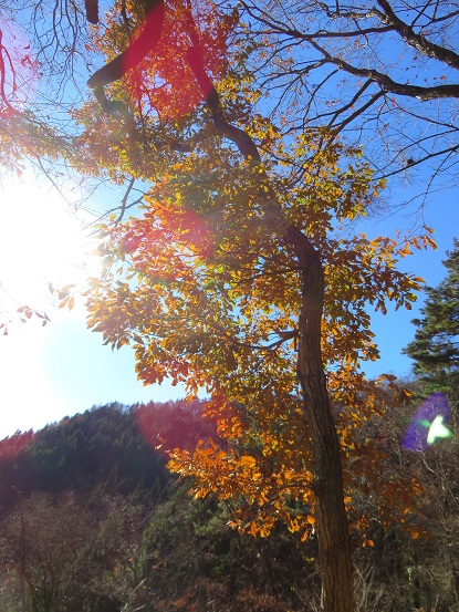 雨降山・権現山登山道