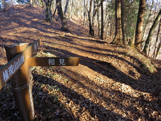 権現山から扇山経由ルートの分岐