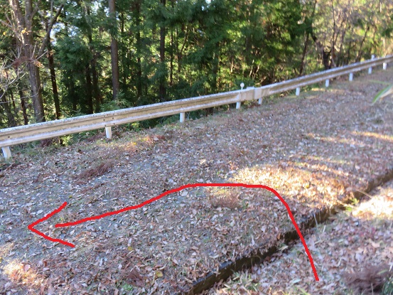 権現山登山道の林道