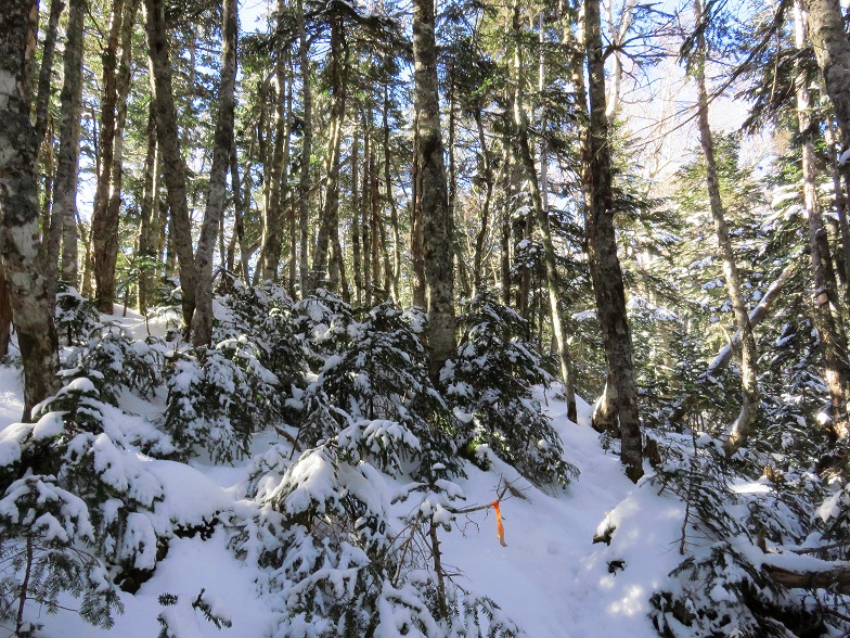 f:id:aohige0718:20161211144626j:plain